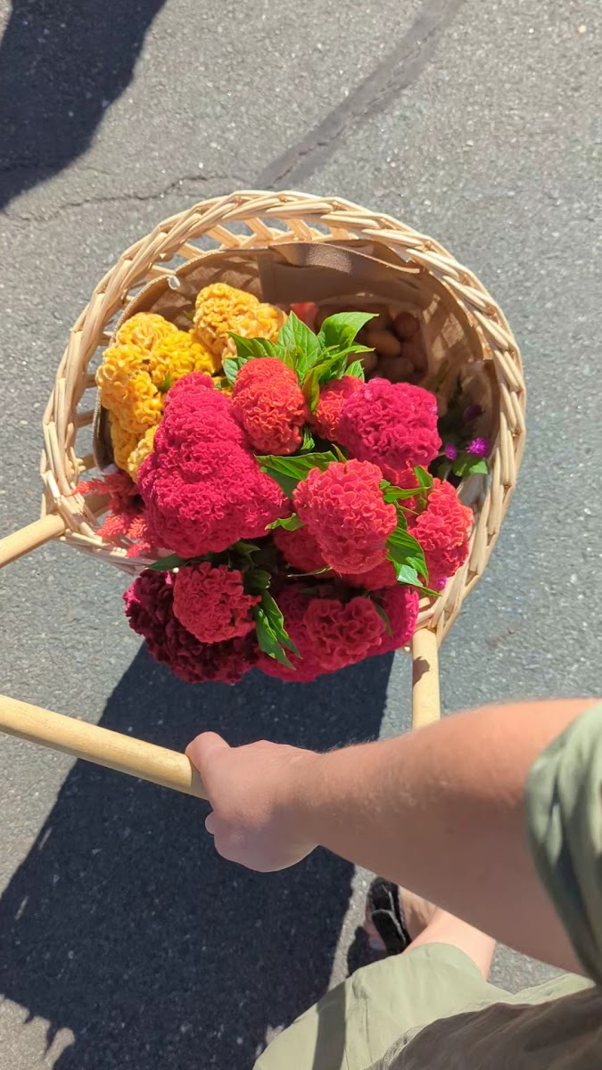 Princeton Farmers' Market photo 5