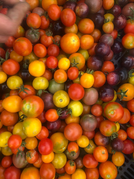 Folks Farm & Seed (May-Oct)