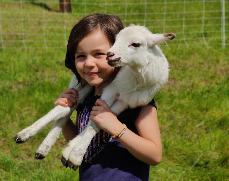 The Old Road Farm photo 3