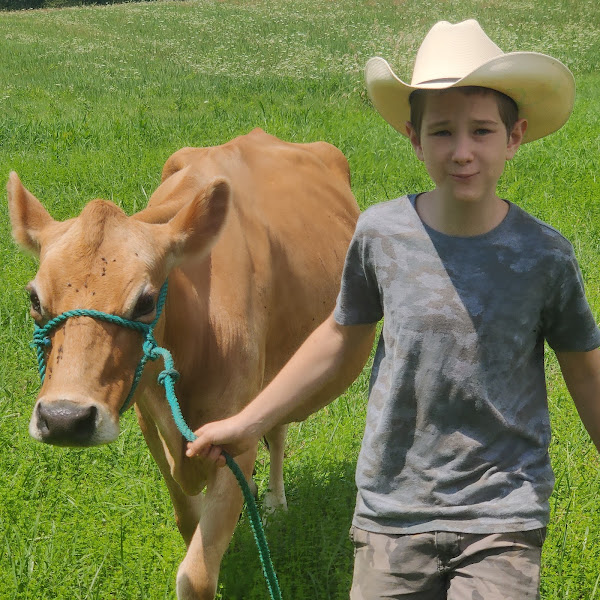 The Old Road Farm photo 4