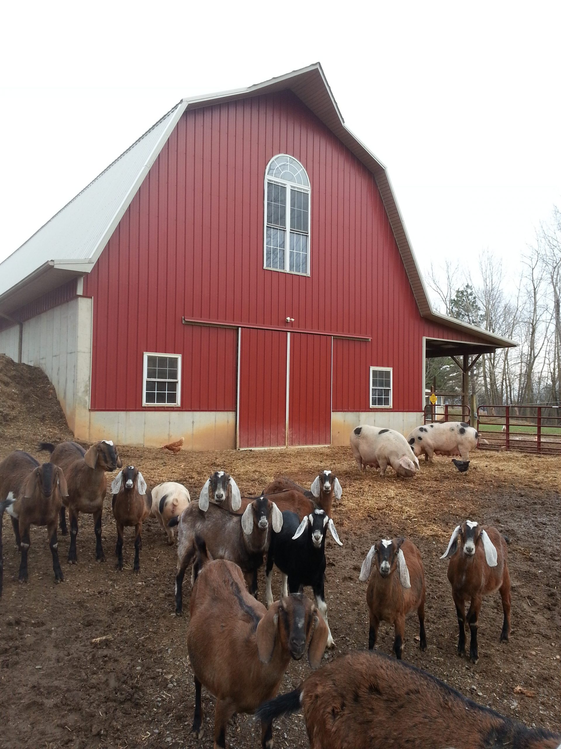 FawnCrossing Farms photo 9