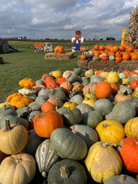 Majestic Nursery and Gardens