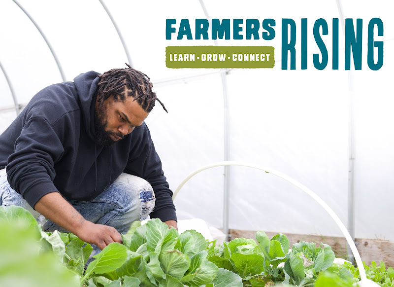 Roots & Wings Farm and Garden