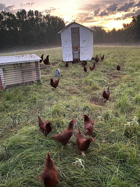 Hood Family Farms