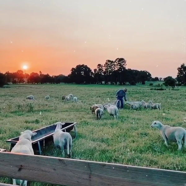 Hood Family Farms photo 3