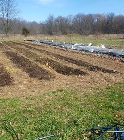 Long Valley Farm photo 13