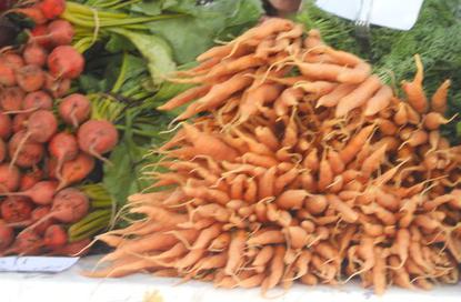 Long Valley Farm photo 14