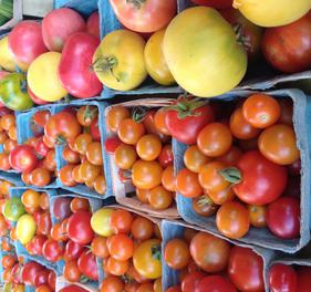 Long Valley Farm photo 15