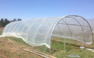 Long Valley Farm photo 7