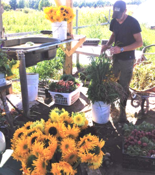 Long Valley Farm photo 9
