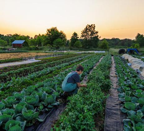 Long Valley Farm