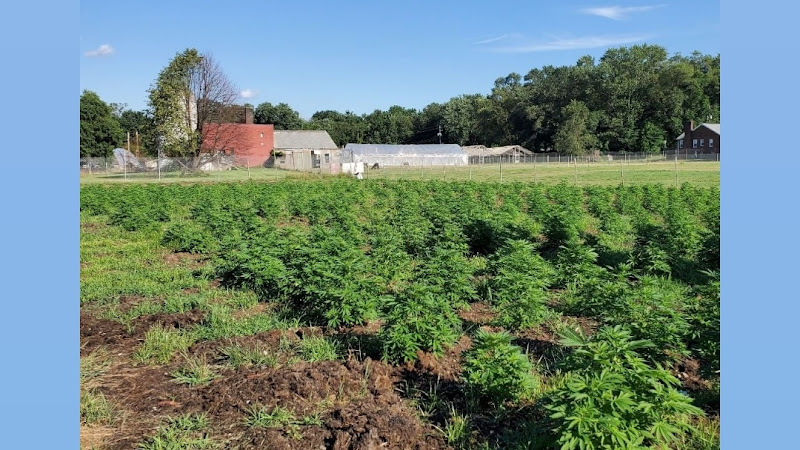 Healthy Harvest Organics