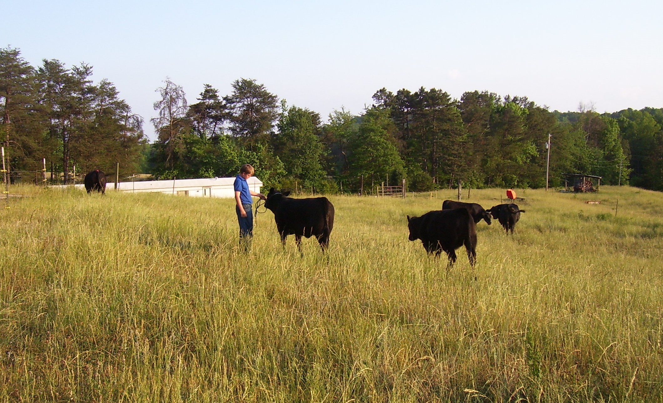 Millhaven Farm photo 3