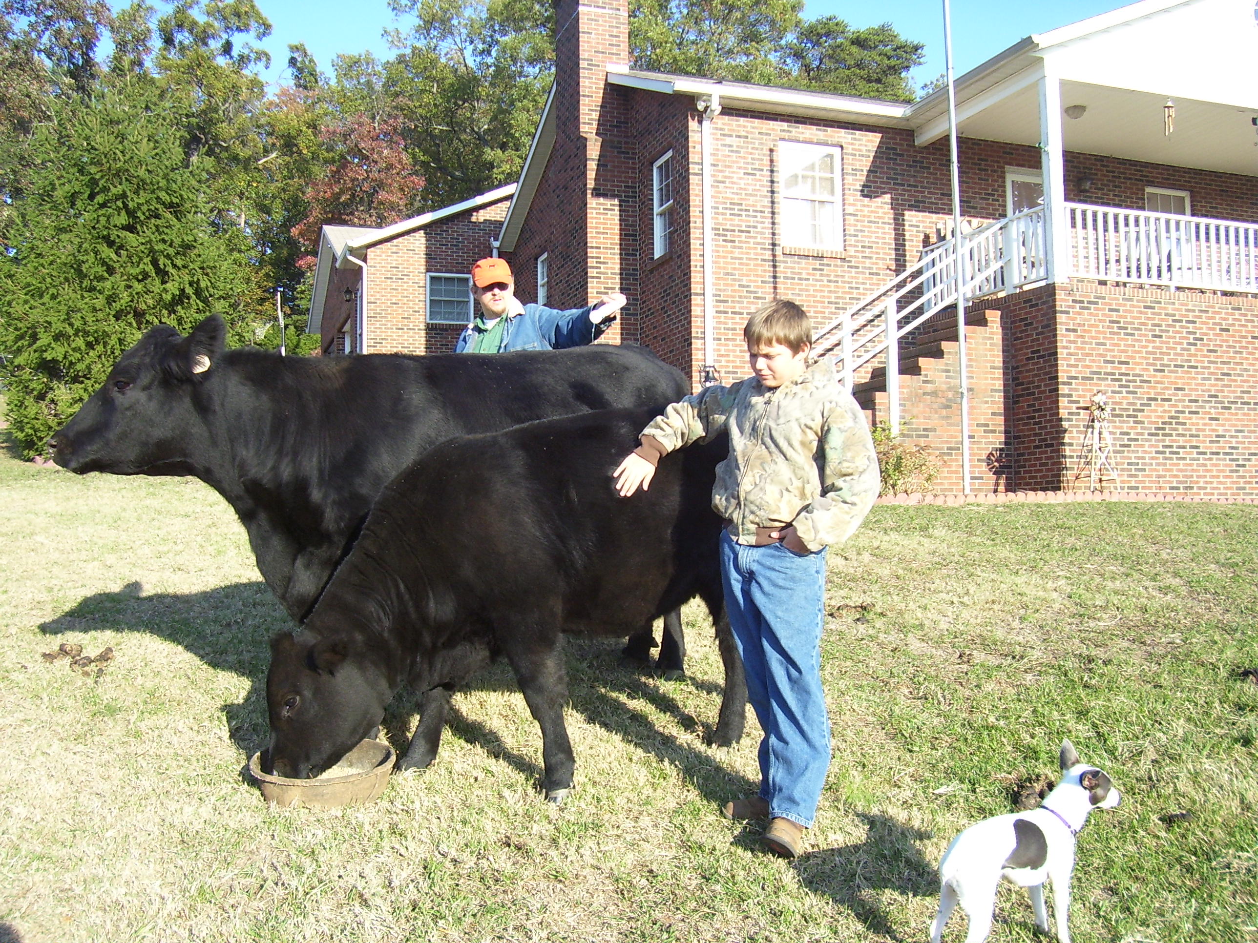 Millhaven Farm photo 5
