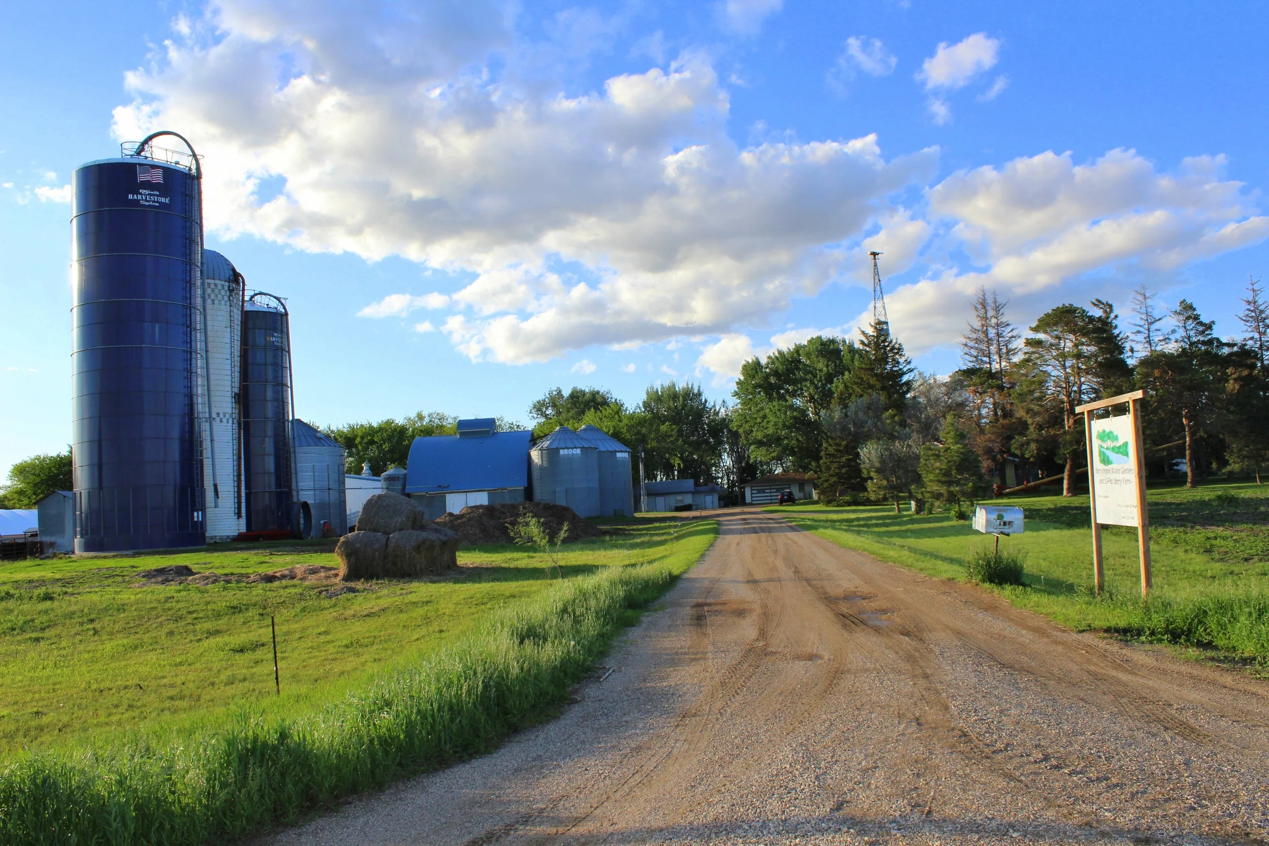 Berrybrook Organics & U-Pick