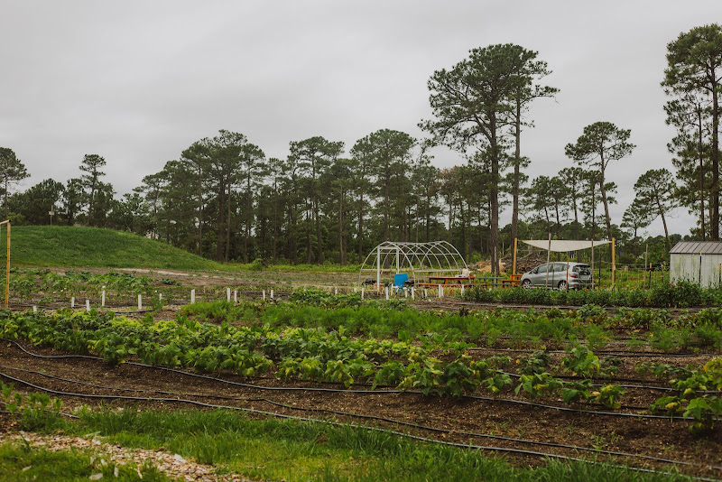 Rise Up Community Farm