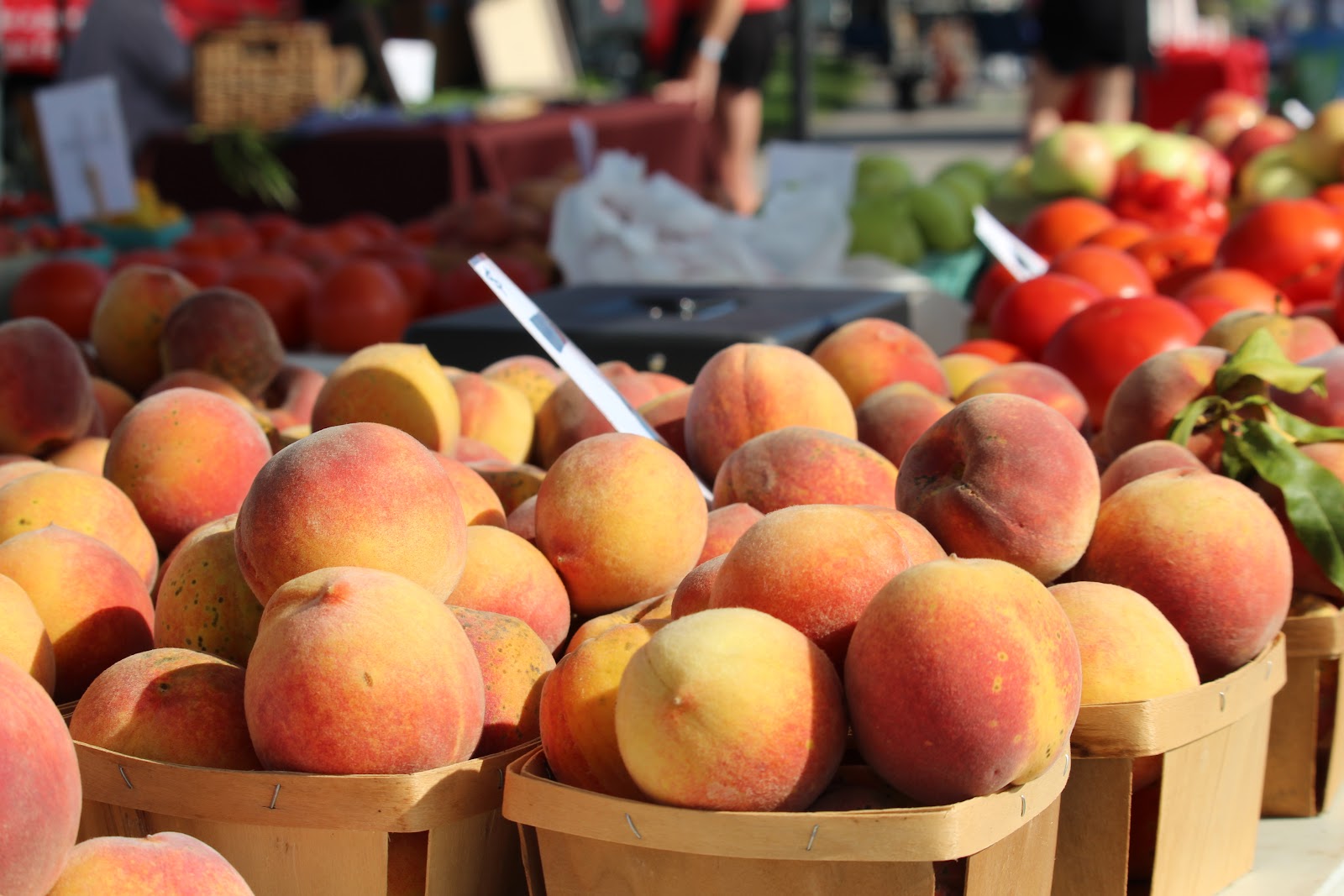 Blue Ash Farmers Market photo 3