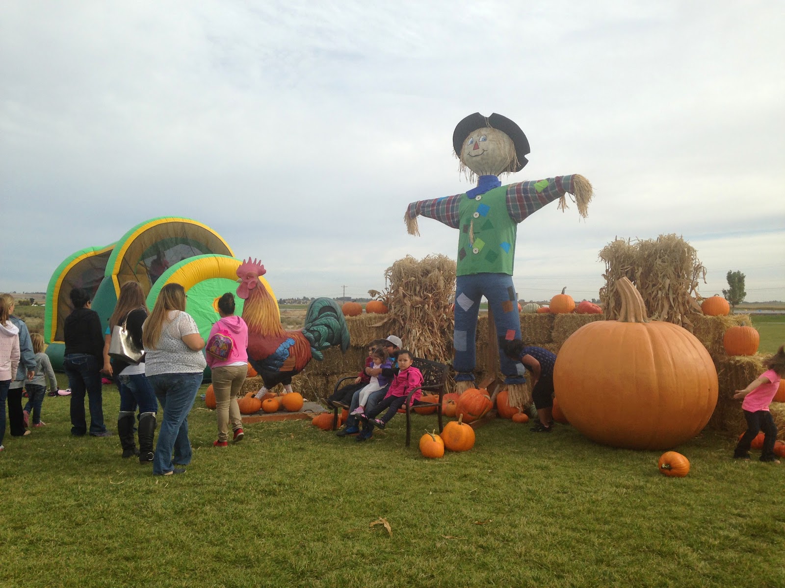 Gooding Farmer's Market photo 3