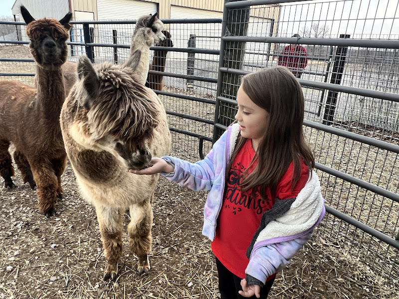 Laughing Stalk Farmstead photo 3