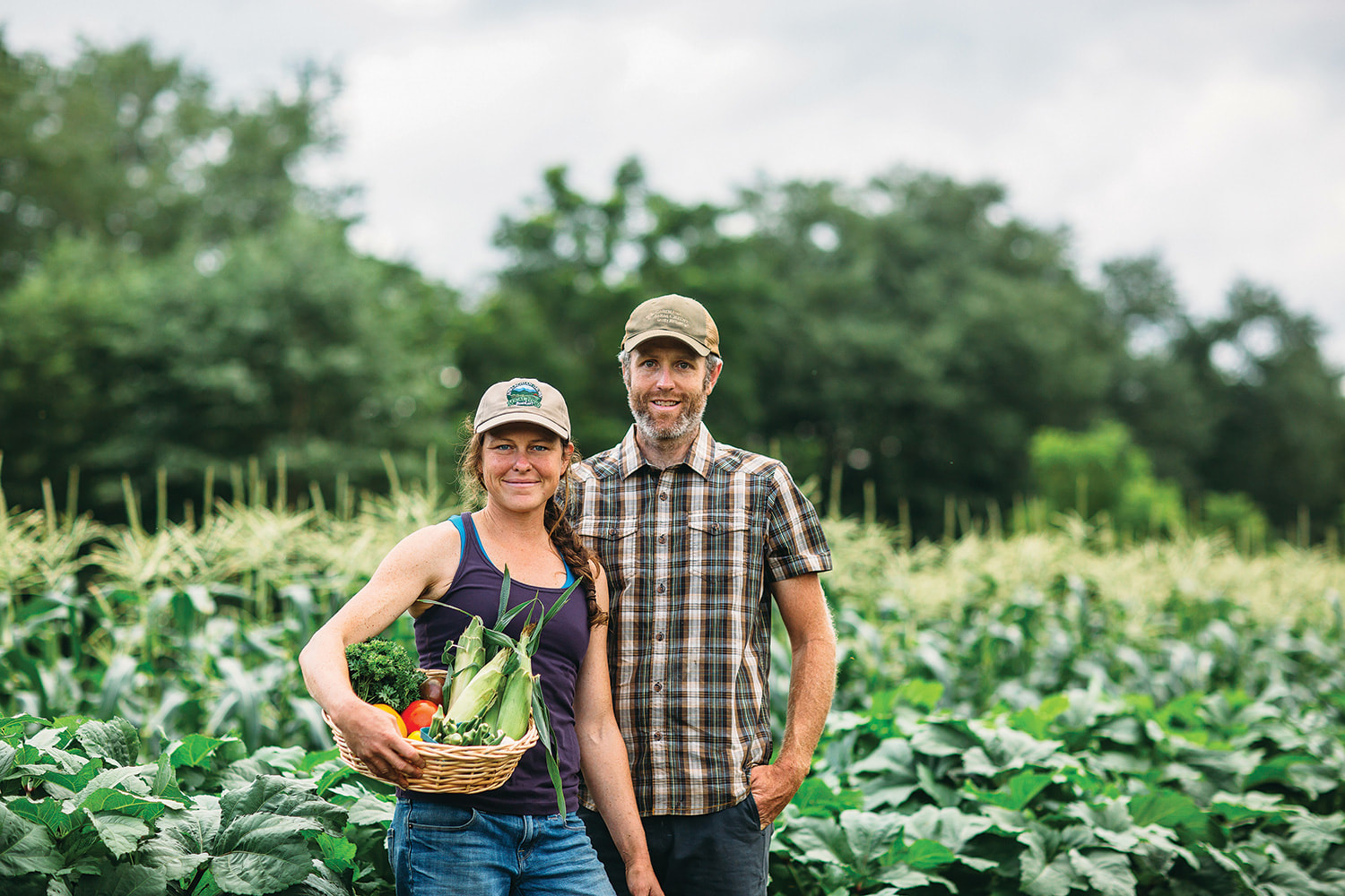 Pitch Pine Farm photo 4