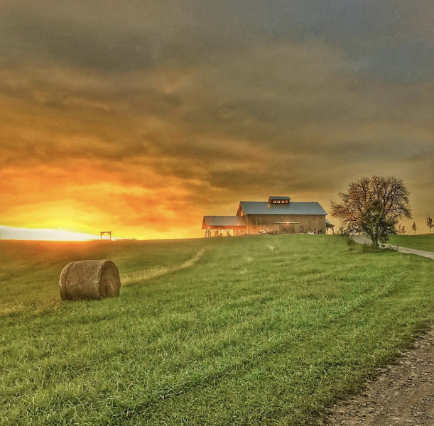 Weston Red Barn Farm photo 6