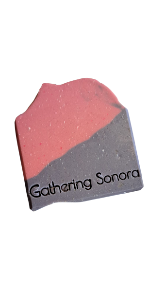 Gathering Sonora