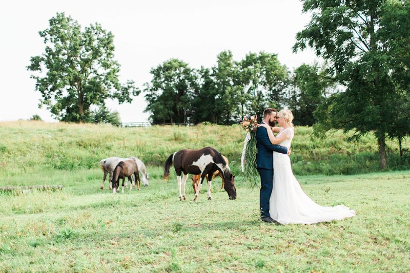 Harvest Hill Farms
