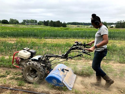 MSU Student Organic Farm and Organic Farmer Training Program photo 8