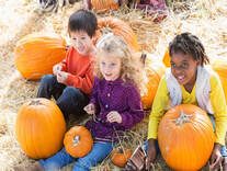 Slakmarket Farm llc photo 14