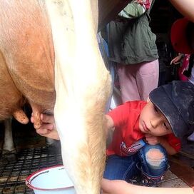 Slakmarket Farm llc photo 15