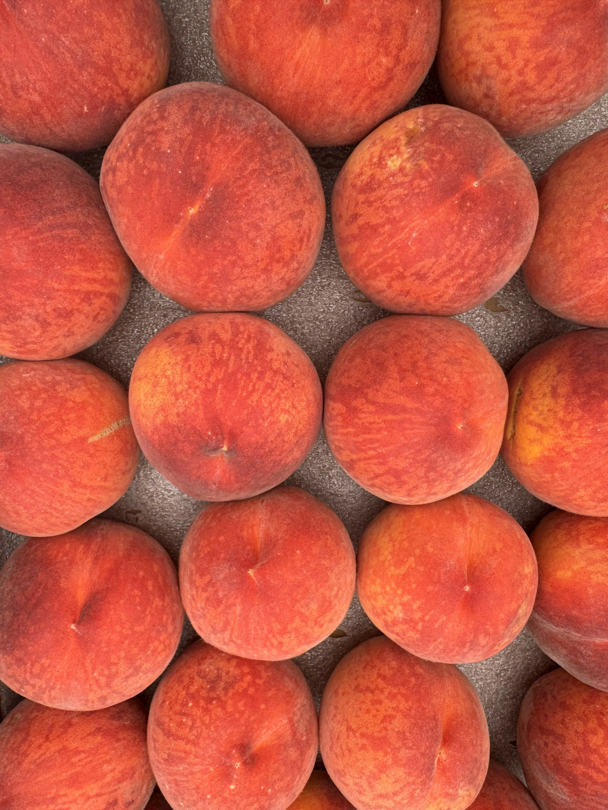 Vail Farmers Market and Art Show