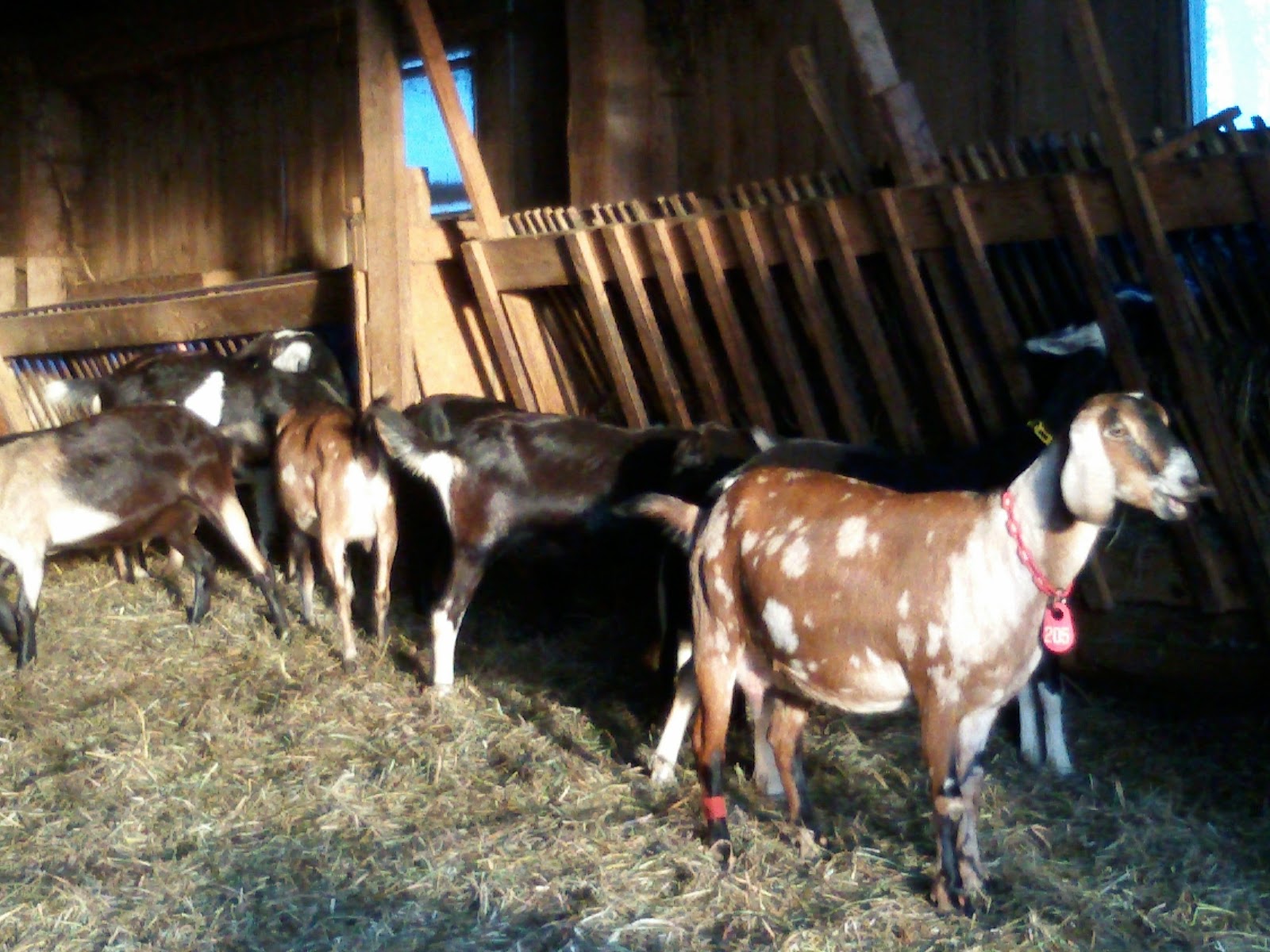 Cherish Creamery LLC photo 2