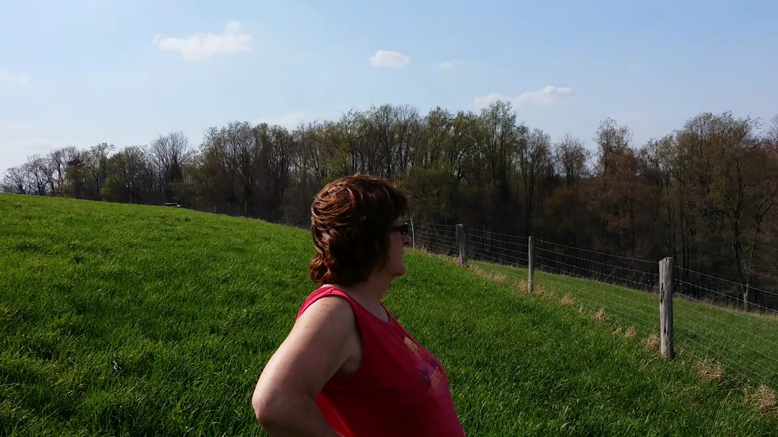 Cherish Creamery LLC photo 3