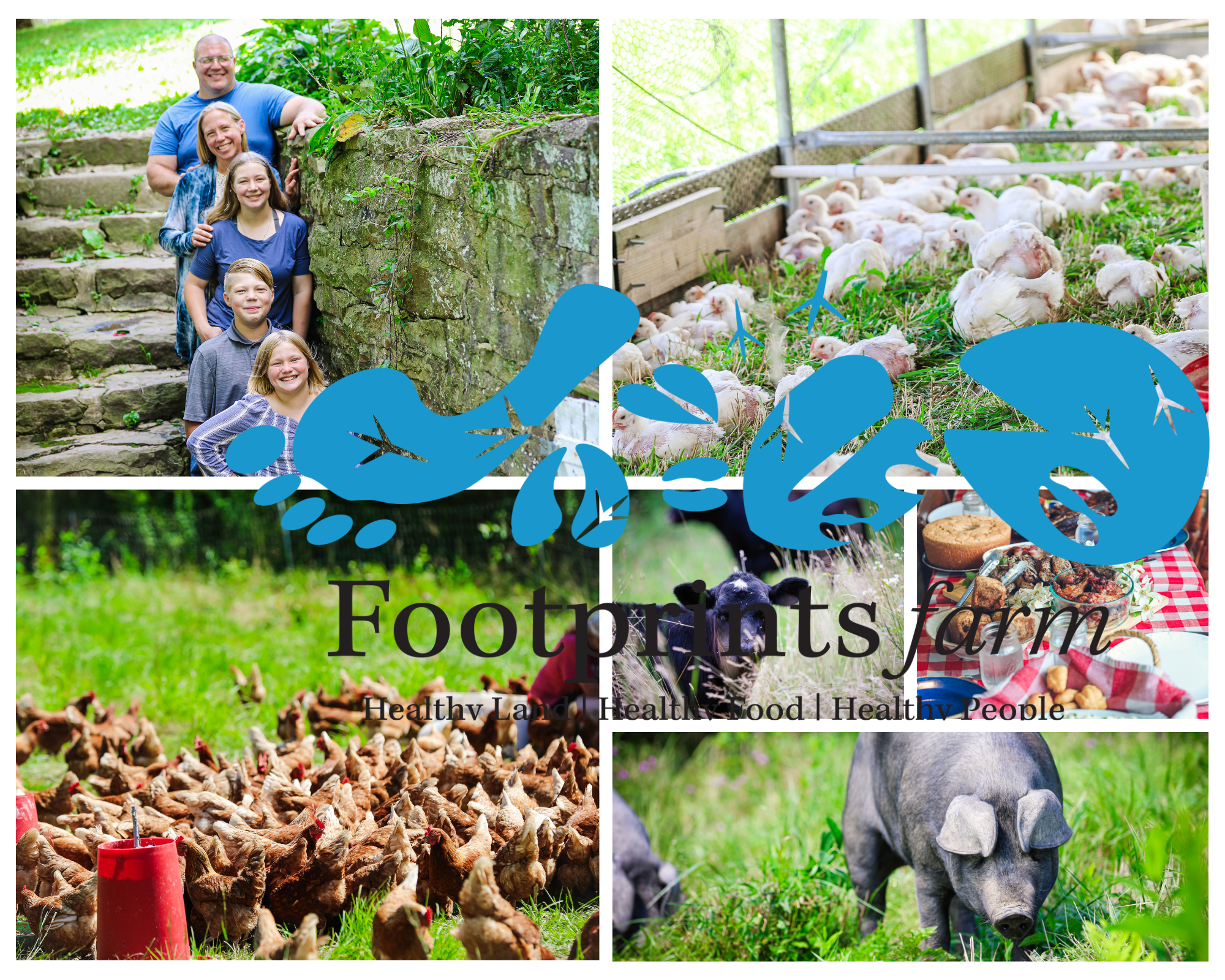 Footprints Farm