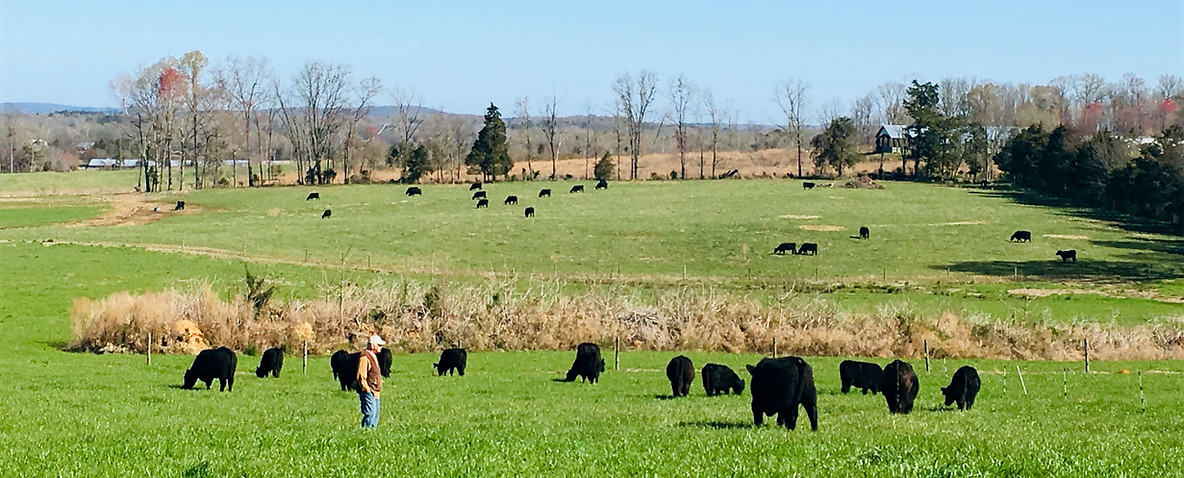 Smithview Farm photo 8