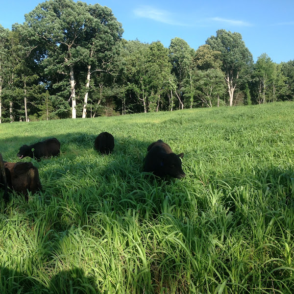 Smithview Farm photo 2