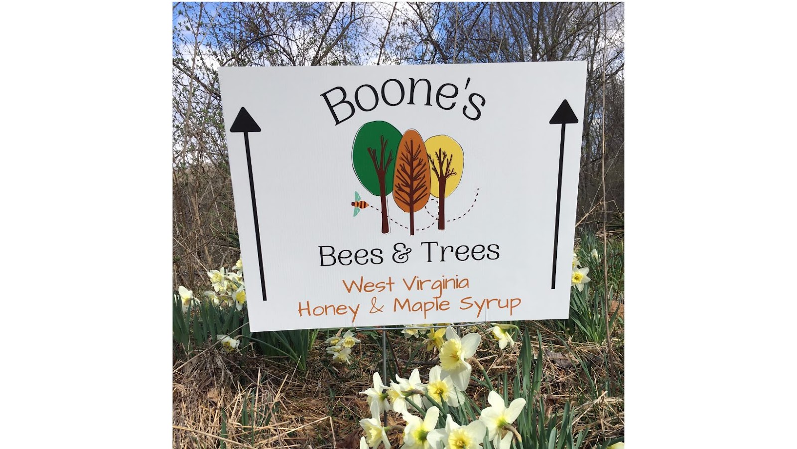 Boone's Bees and Trees