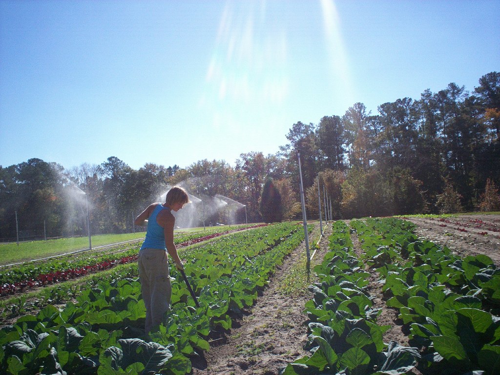 Heritage Organic Farm