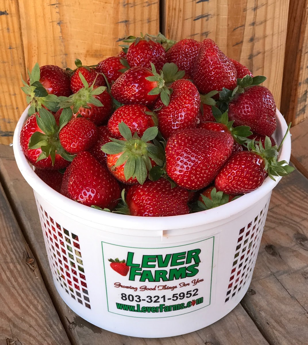 Lever Farms photo 5