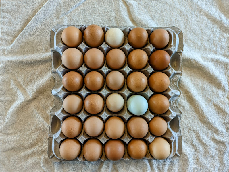 Poiema Farm LLC photo 2