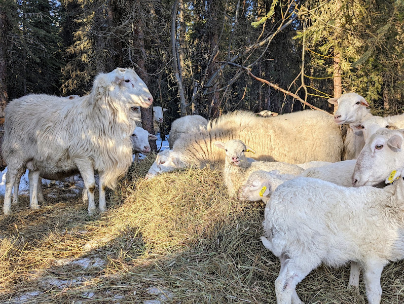 Poiema Farm LLC photo 3