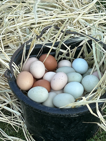 Cedar Crest Farm & Feed