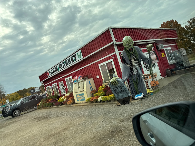Tierra Verde Farms photo 2