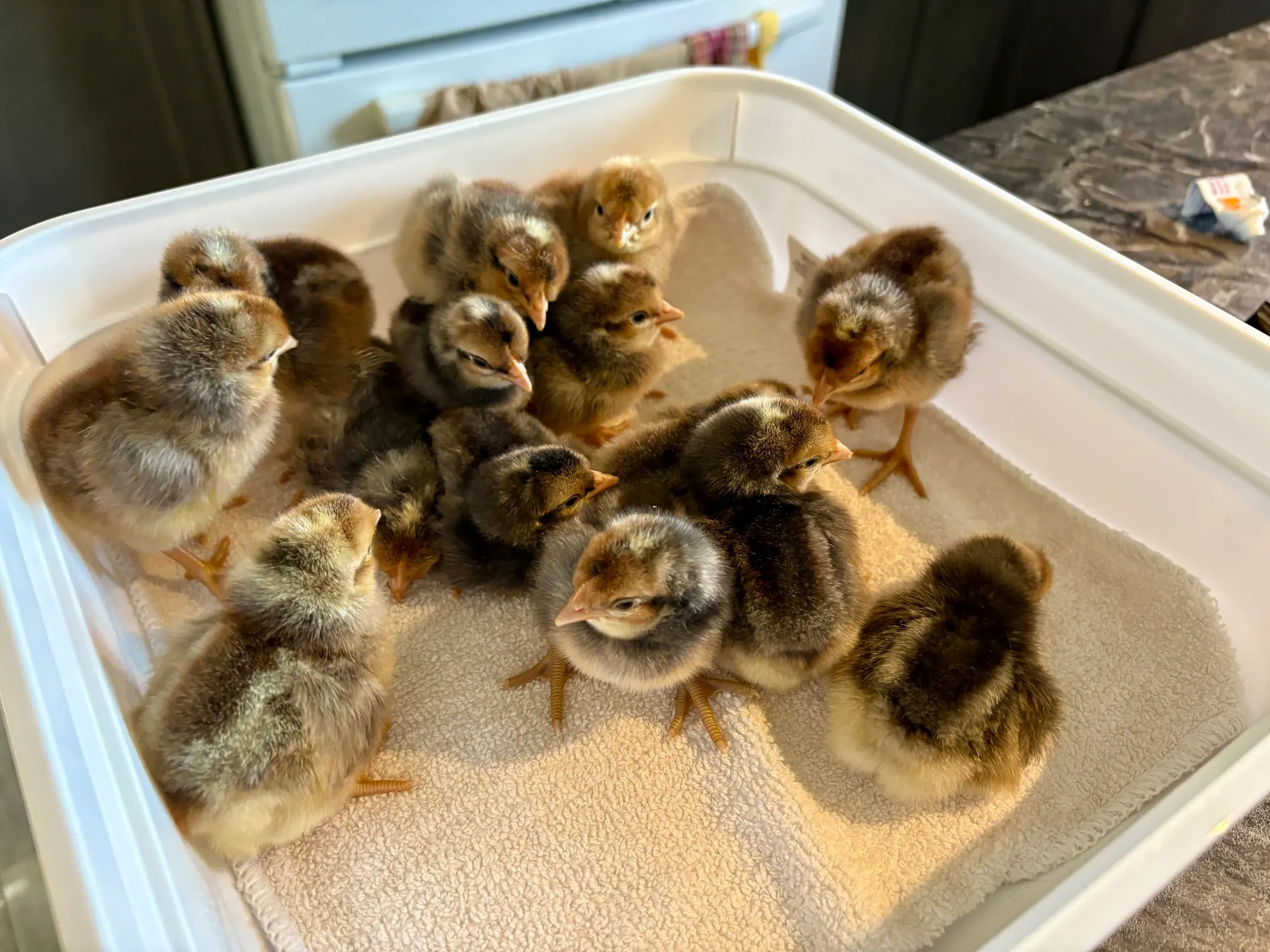 Wick Place Candles and Farm