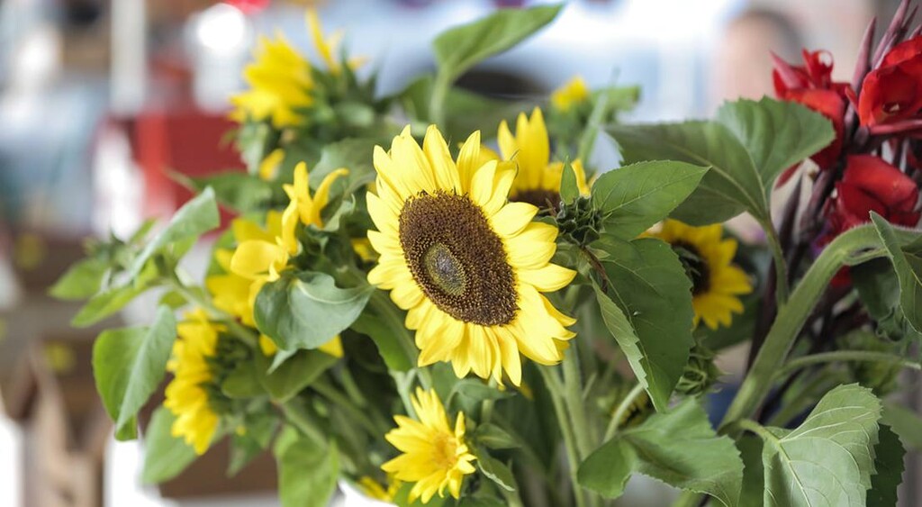 Marianna City Farmers Market photo 3
