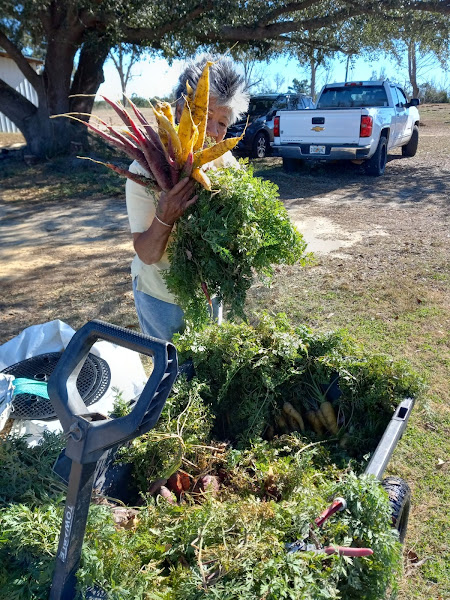 Marianna City Farmers Market