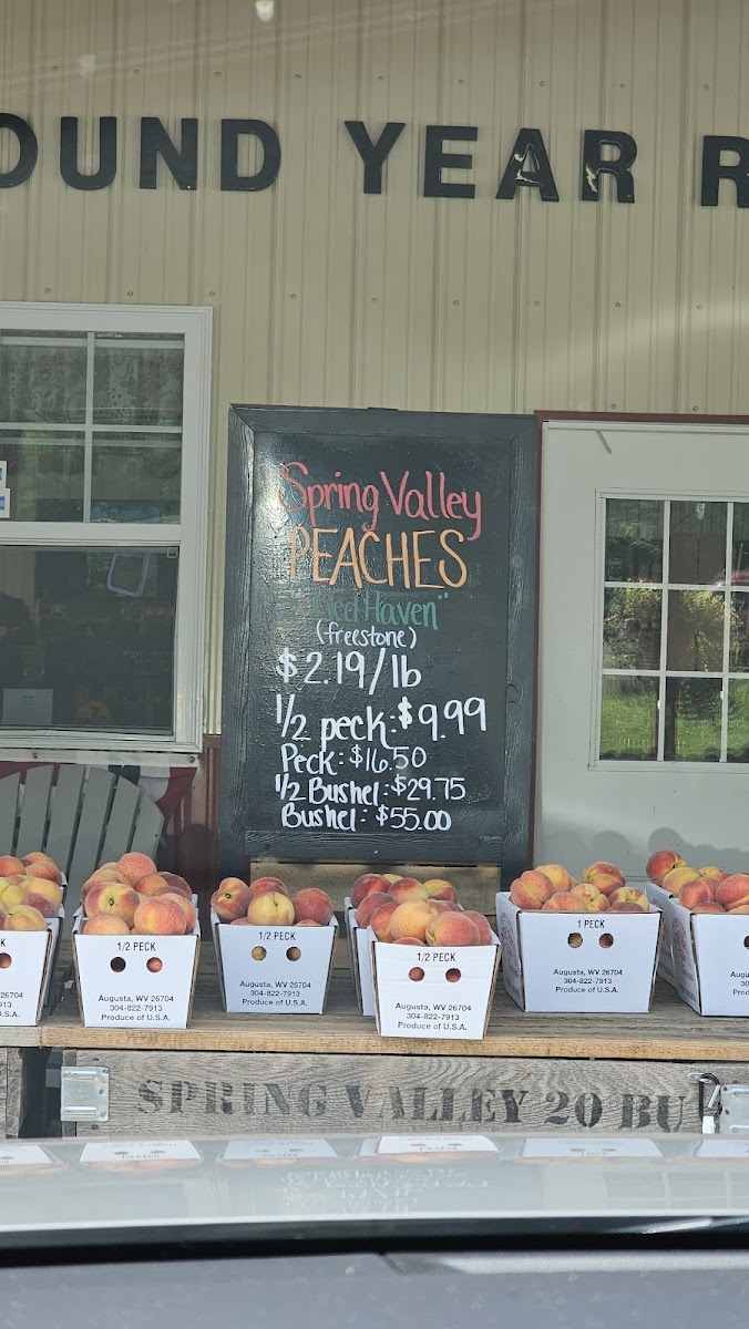 Romney Farmers' Market