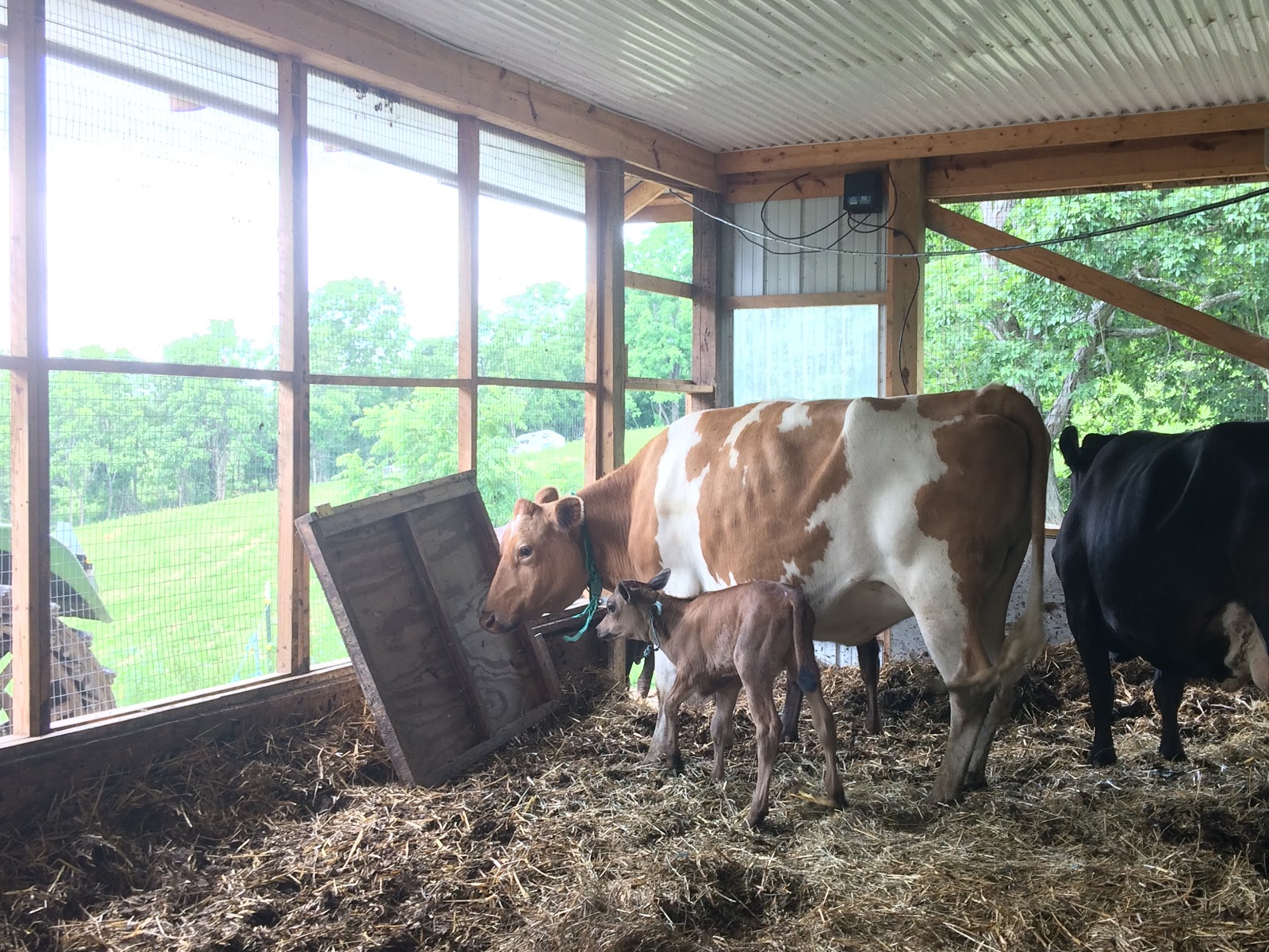 Crystal Valley Creamery photo 2