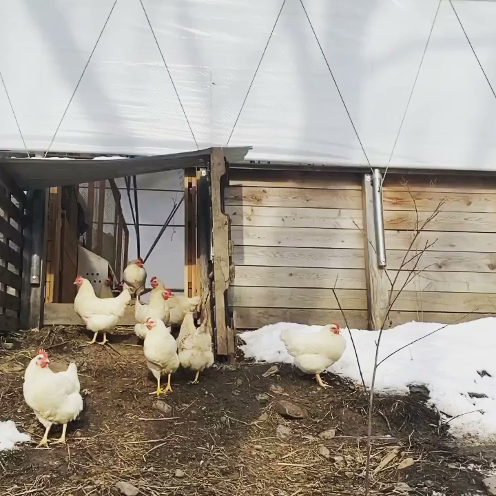 Crystal Valley Creamery photo 3