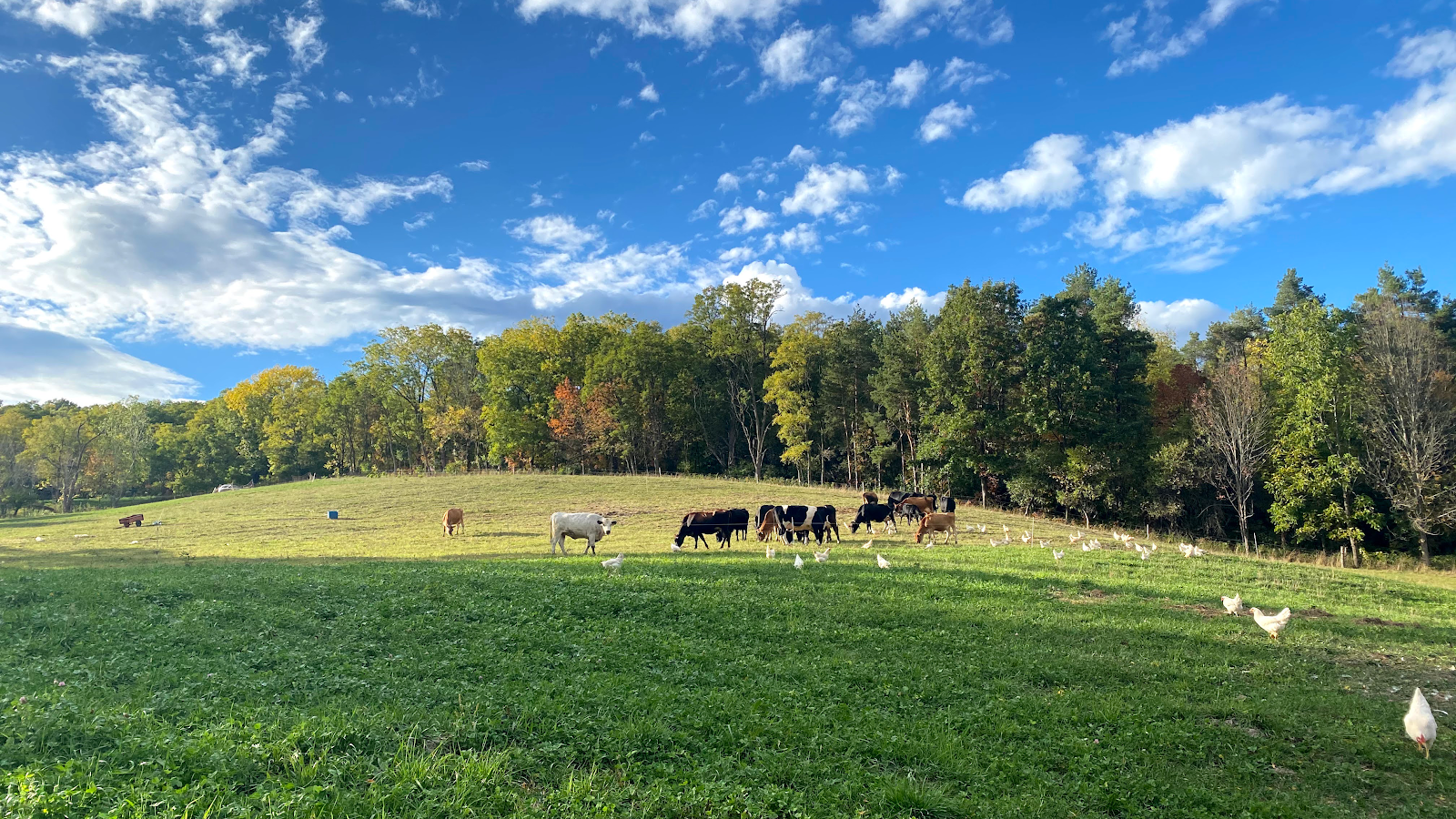 Crystal Valley Creamery photo 6